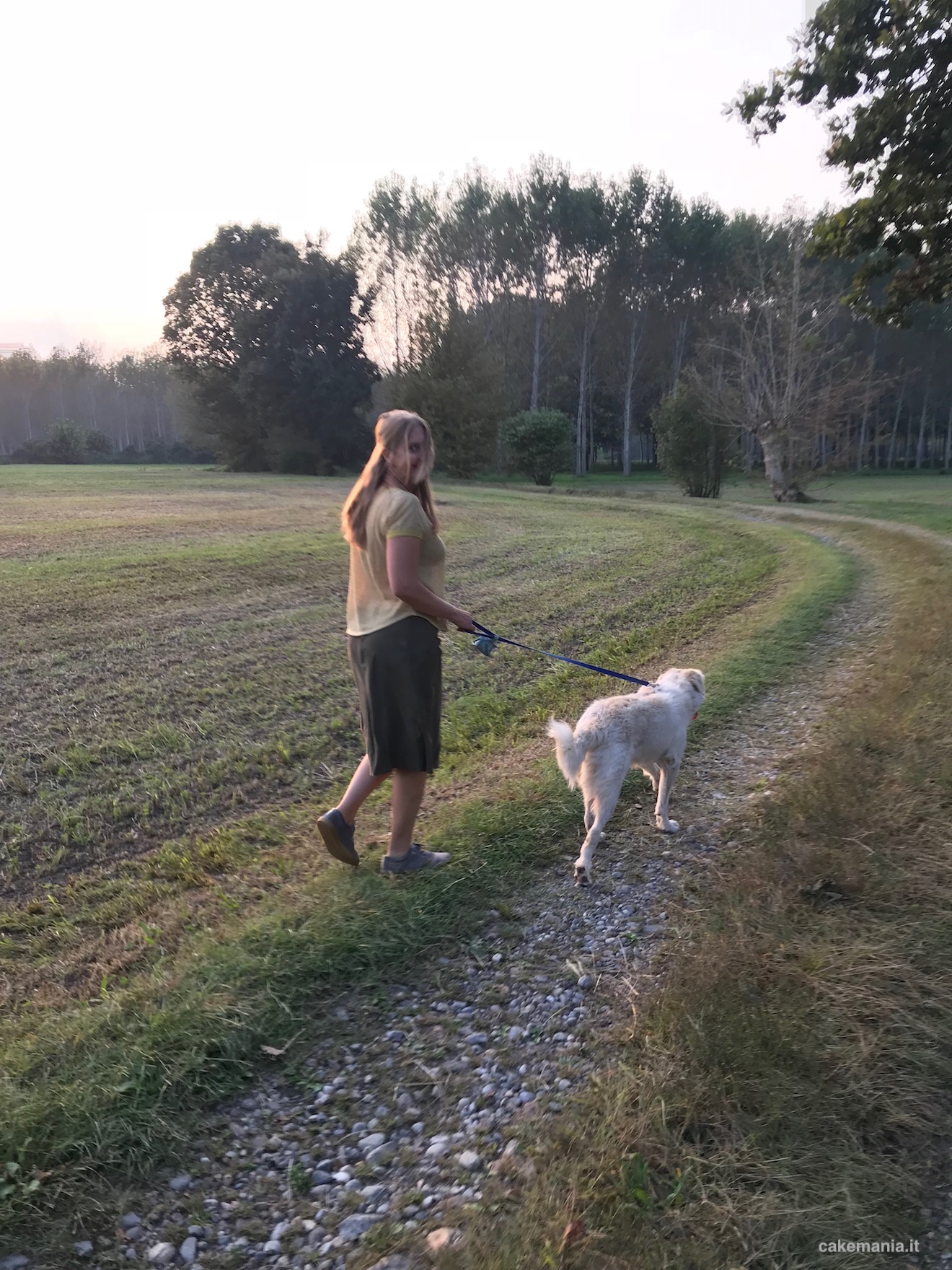 passeggiata cane