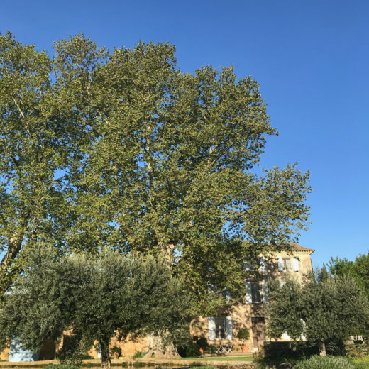Lourmarin