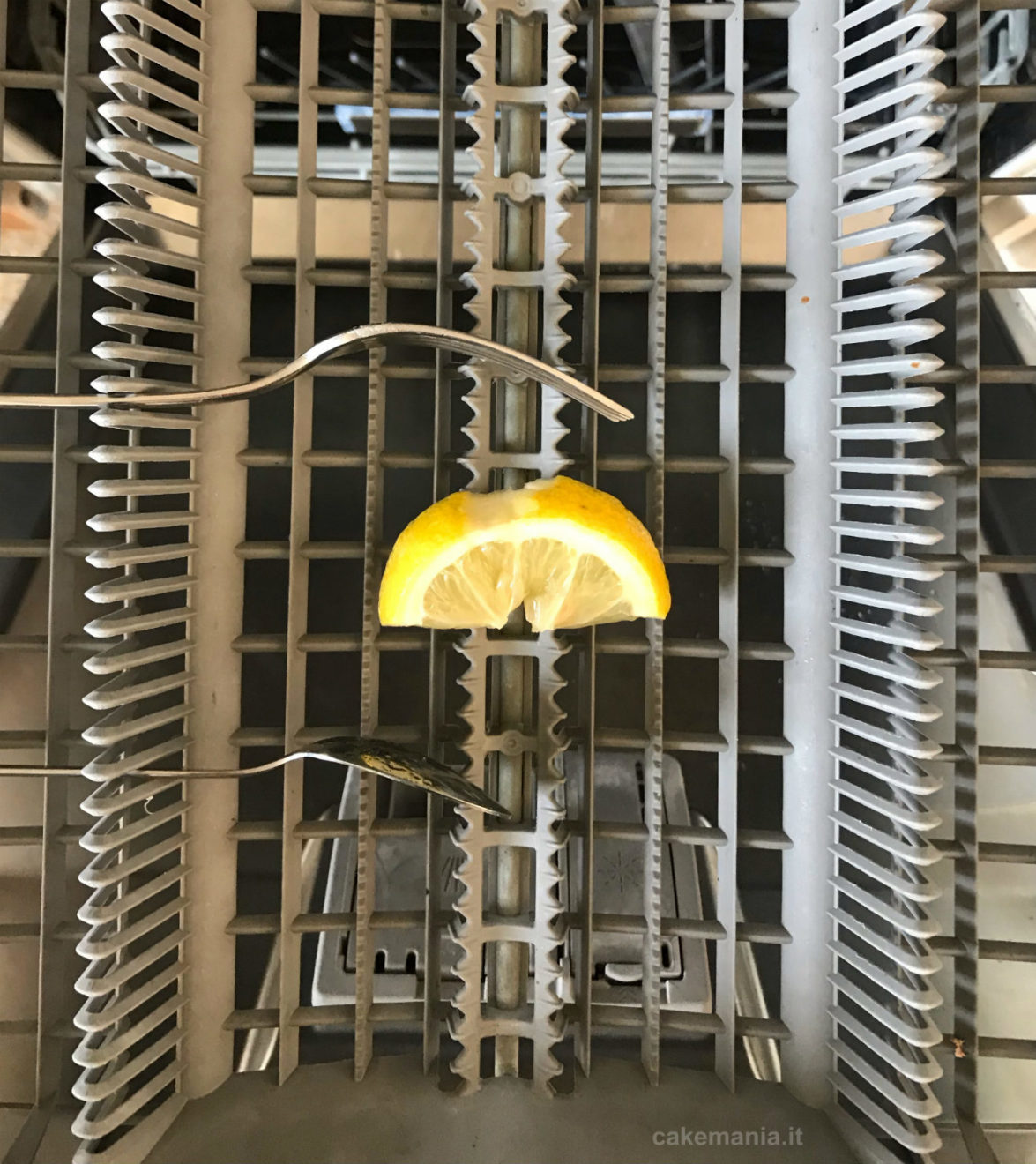 limone in lavastoviglie