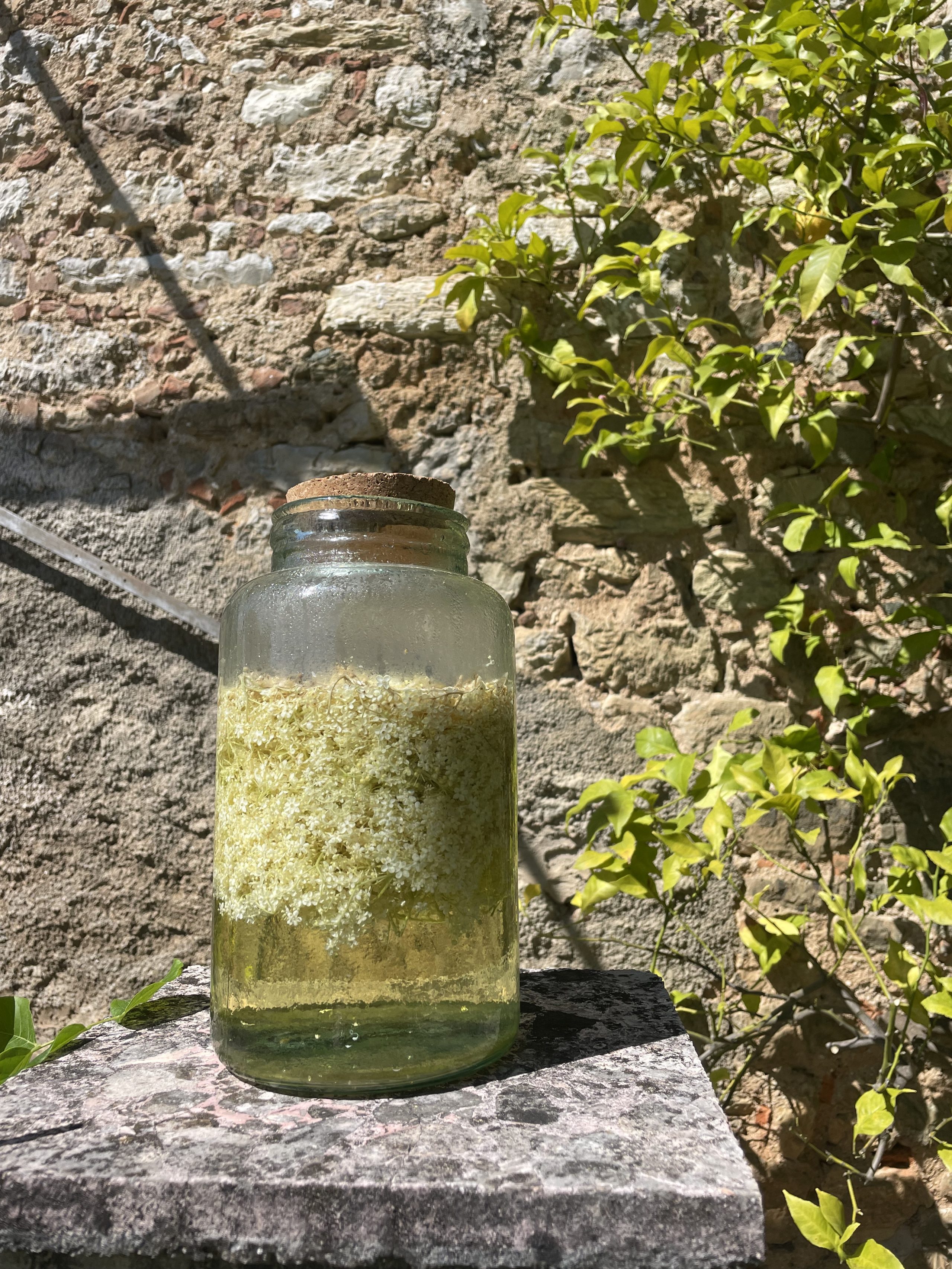 aceto di sambuco esposto al sole