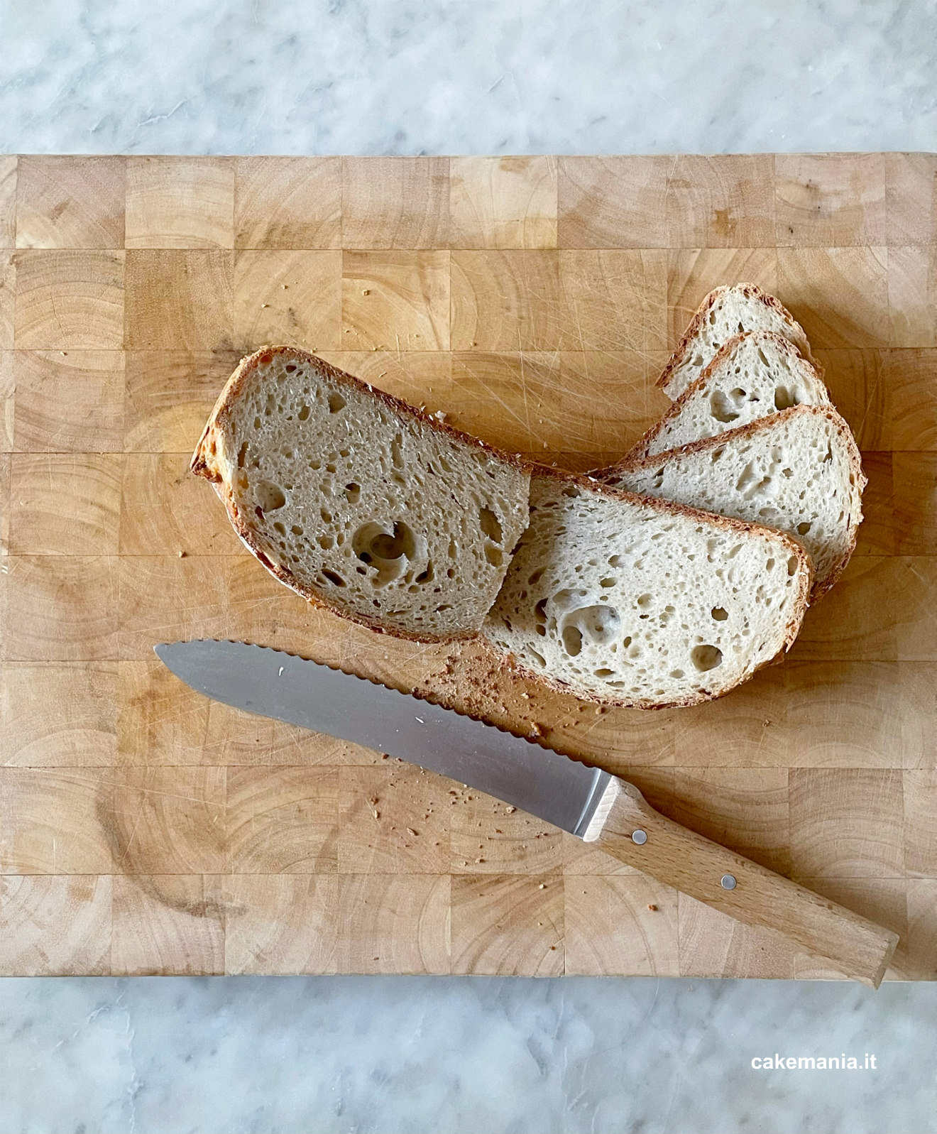 fette di pane per crostini