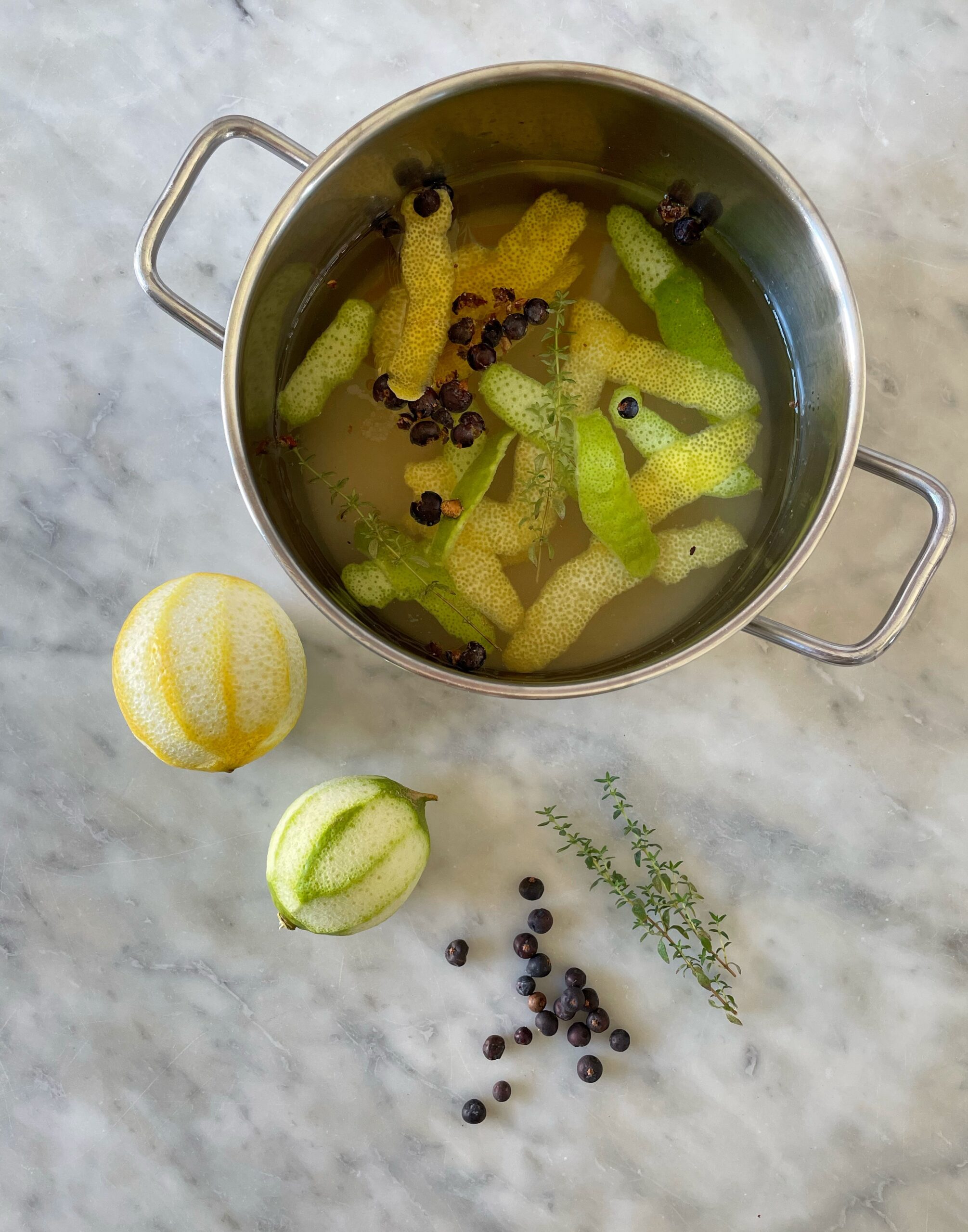 ingredienti per il Gin Tonic analcolico