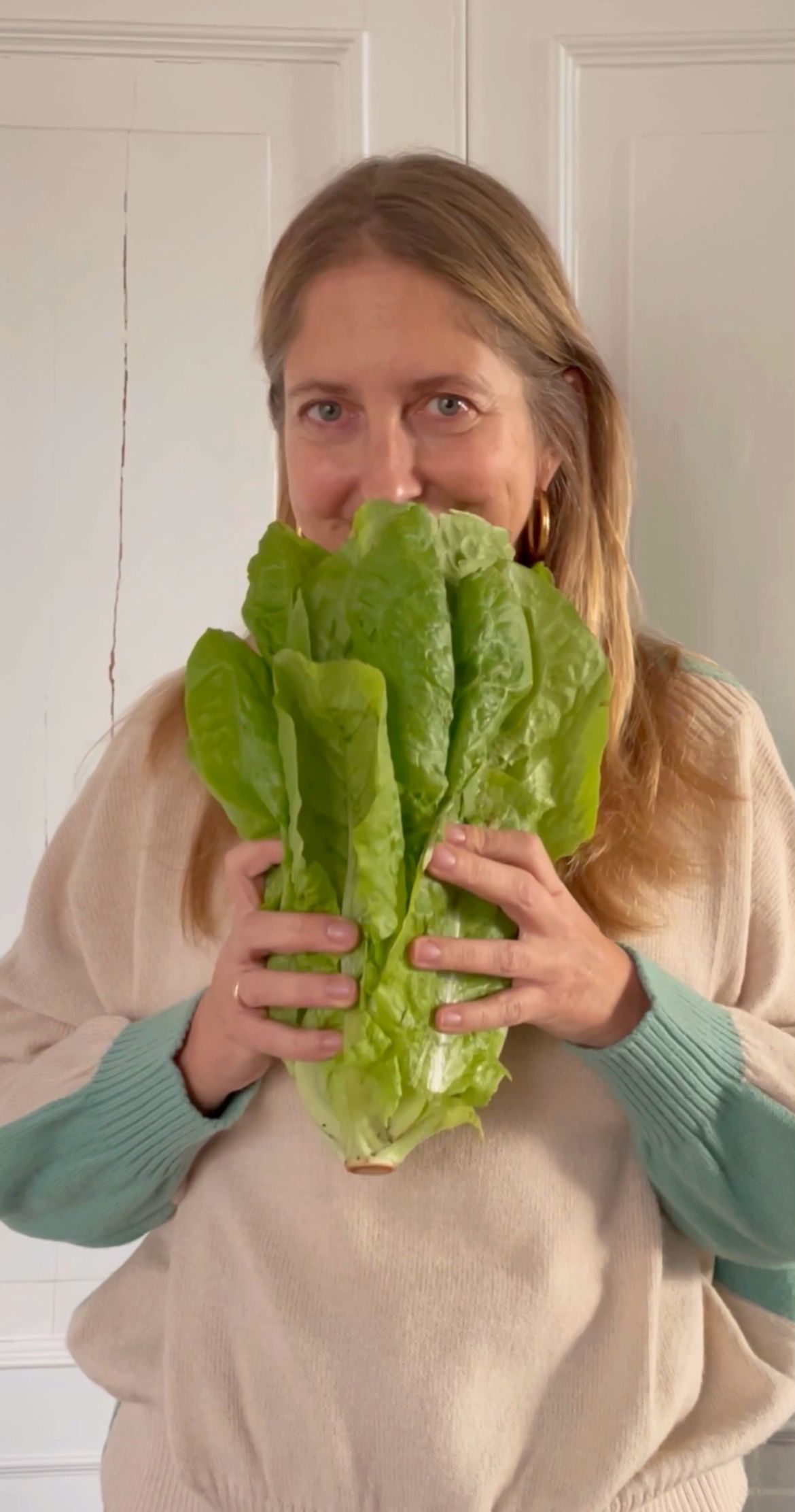 come preparare una perfetta insalata in pochissimo tempo