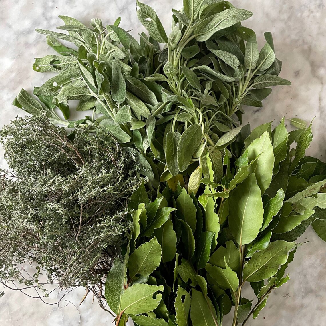 erbe aromatiche fatte in casa