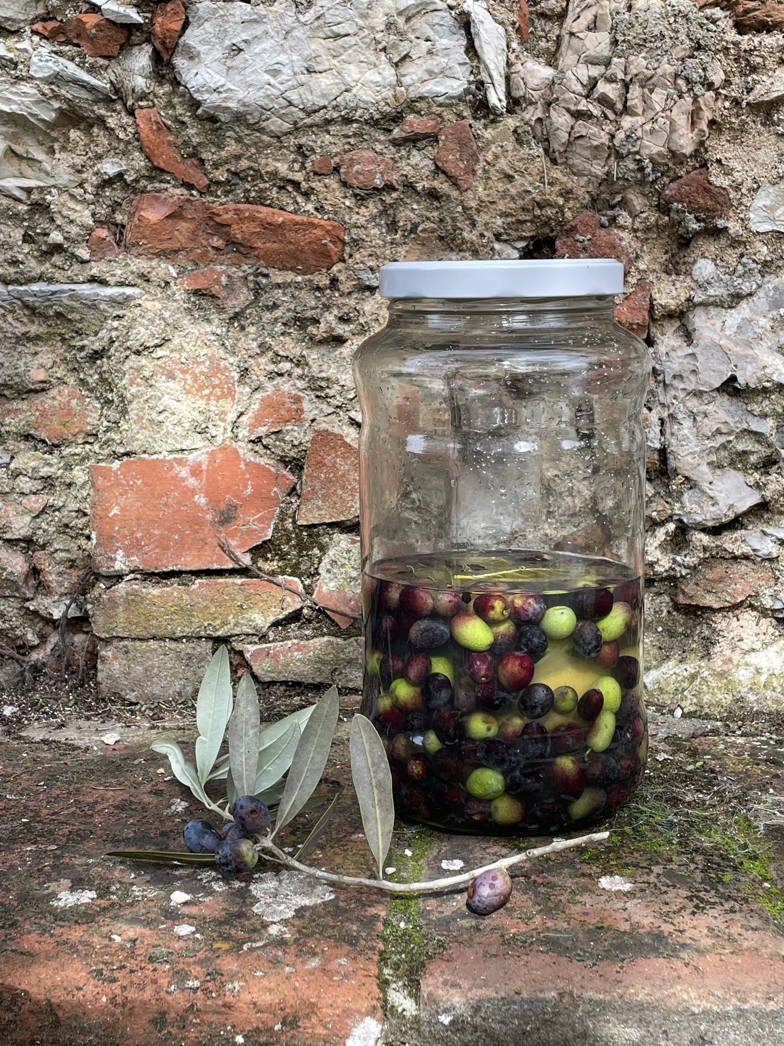 olive in salamoia fatte in casa